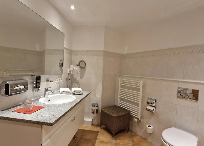 ホテル Habichtstein アレクシスバート